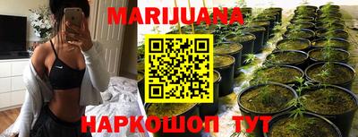гашик Ливны