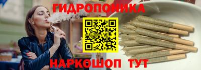 сатива Лесосибирск